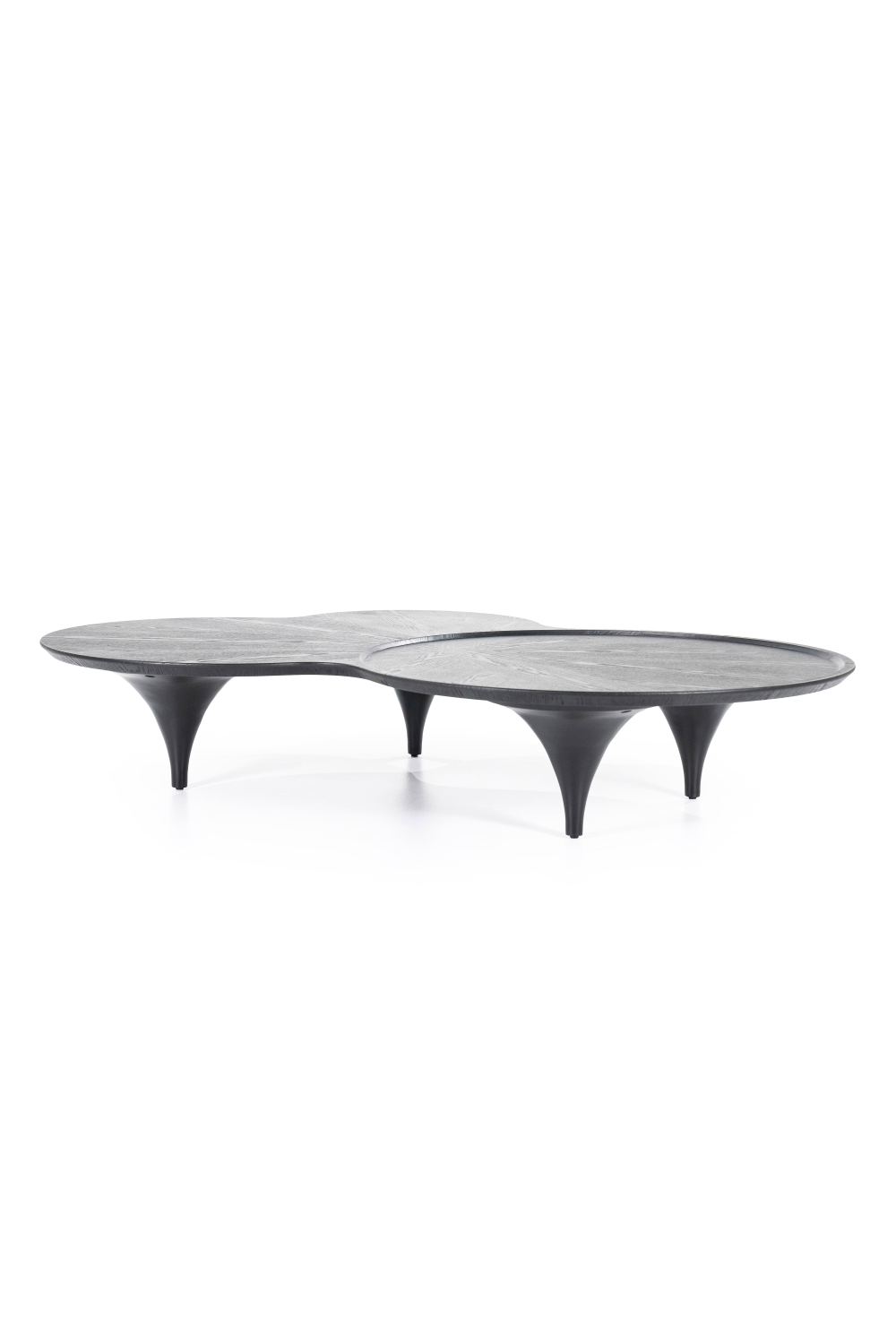 Table basse en chêne noir biologique