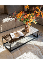 Table basse en marbre poli